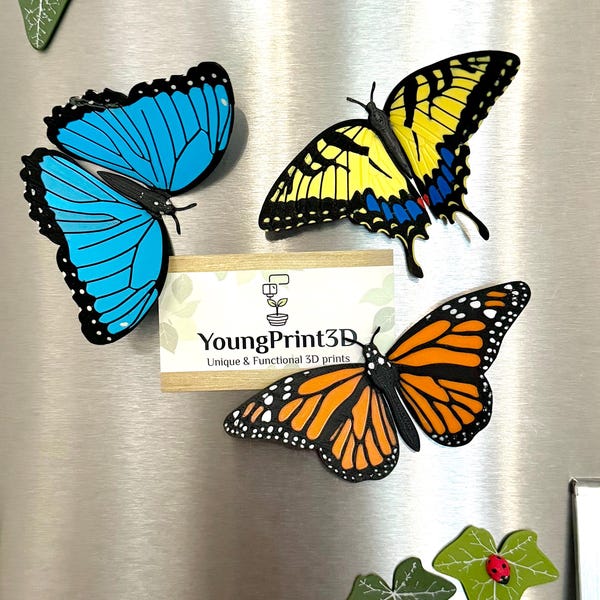 Butterfly Fridge Magnets | Magnet Set | Butterfly Kitchen and Home decor