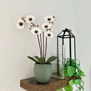 May include: A white orchid plant in a green pot sits on a wooden shelf with a glass candle holder and a green leafy plant hanging down.