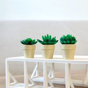 Spinning Succulent Fidget Toy: Sensory Desk Toy - ForgeCore Fidgets image 7