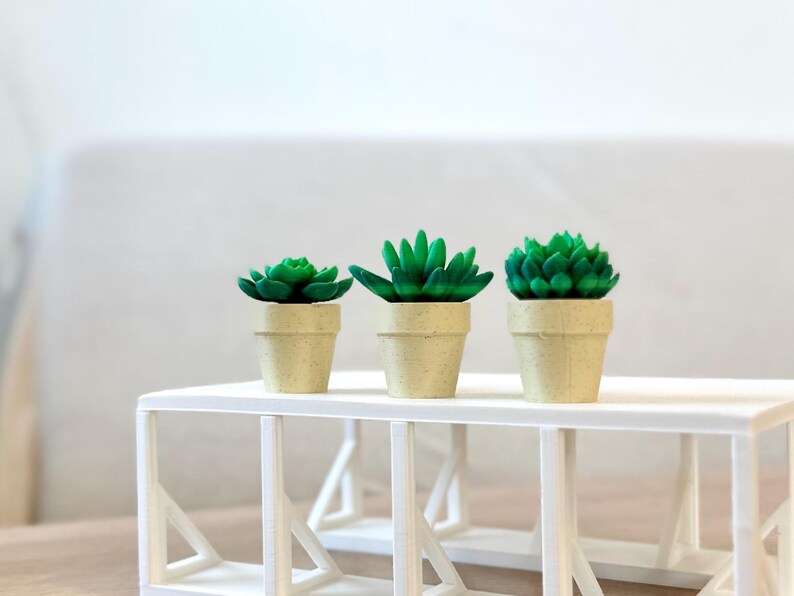 Spinning Succulent Fidget Toy: Sensory Desk Toy - ForgeCore Fidgets image 7