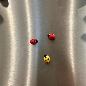 May include: Three ladybug magnets on a stainless steel surface. Two are red with black spots and one is yellow with black spots.