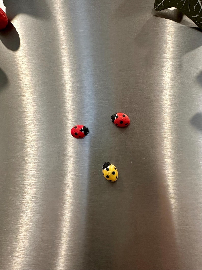 May include: Three ladybug magnets on a stainless steel surface. Two are red with black spots and one is yellow with black spots.