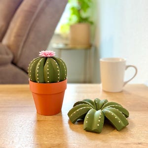 Blooming Smactus Cactus Coaster with Storage Pot