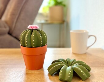 Blooming Smactus Cactus Coaster with Storage Pot