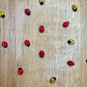 May include: A wooden background with red and yellow ladybugs scattered across the surface.