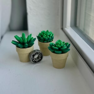 May include: Three small potted succulent plants with green leaves and beige pots. A silver bearing is in the center of the image.