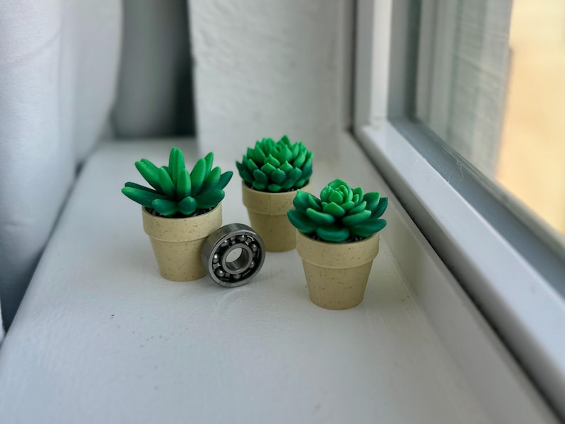 May include: Three small potted succulent plants with green leaves and beige pots. A silver bearing is in the center of the image.