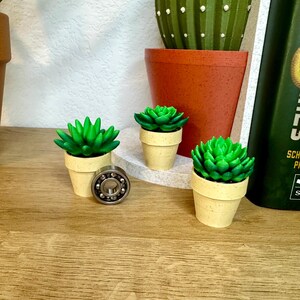 May include: Three small potted green succulent plants with beige pots, a larger terracotta pot with a green cactus, and a silver bearing on a wooden surface.