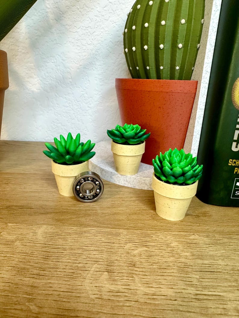 May include: Three small potted green succulent plants with beige pots, a larger terracotta pot with a green cactus, and a silver bearing on a wooden surface.