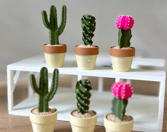 Clicky Cactus Fidget Toy: Sensory Desk Decor - Etsy