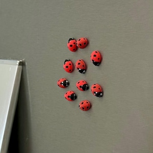 Tiny Ladybug Fridge Magnets | Decorative Mini Magnet Set Red