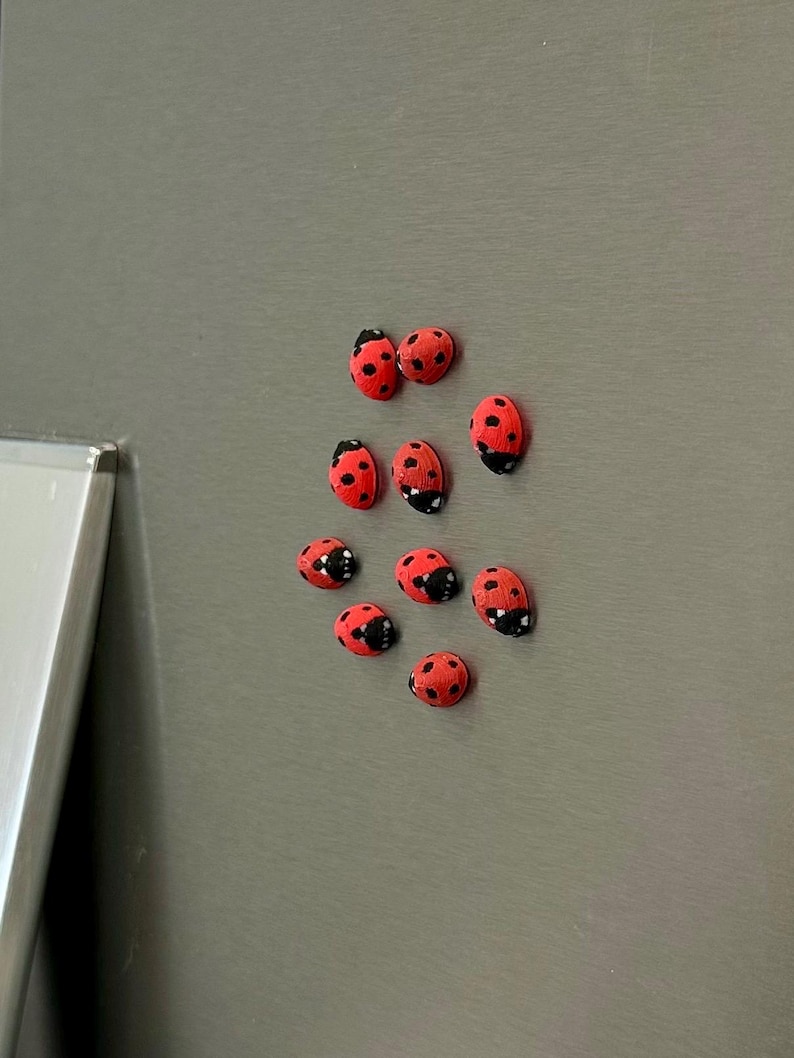 Tiny Ladybug Fridge Magnets | Decorative Mini Magnet Set Red