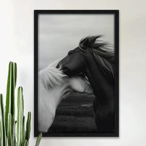 Monochrome Horse Art Print: Equestrian Western Decor