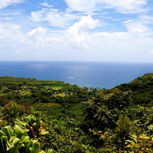 LIMITED EDITION  Road To Hana Coastal Views, Maui Hawaii