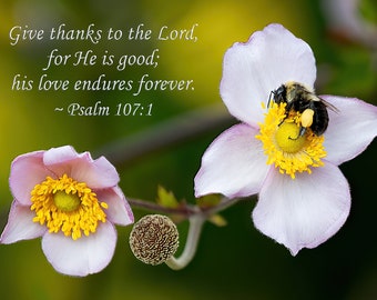 Psalm 107:1  Bible Verse Japanese Anemone and Bee