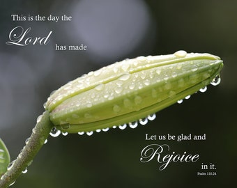 Psalm 118:24 Bible Verse Lily Flower Bud