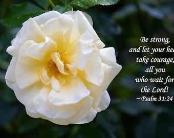 Psalm 31:24 Bible Verse with White and Yellow Rose