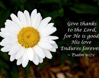 Psalm 107:1 Bible Verse with White Daisy