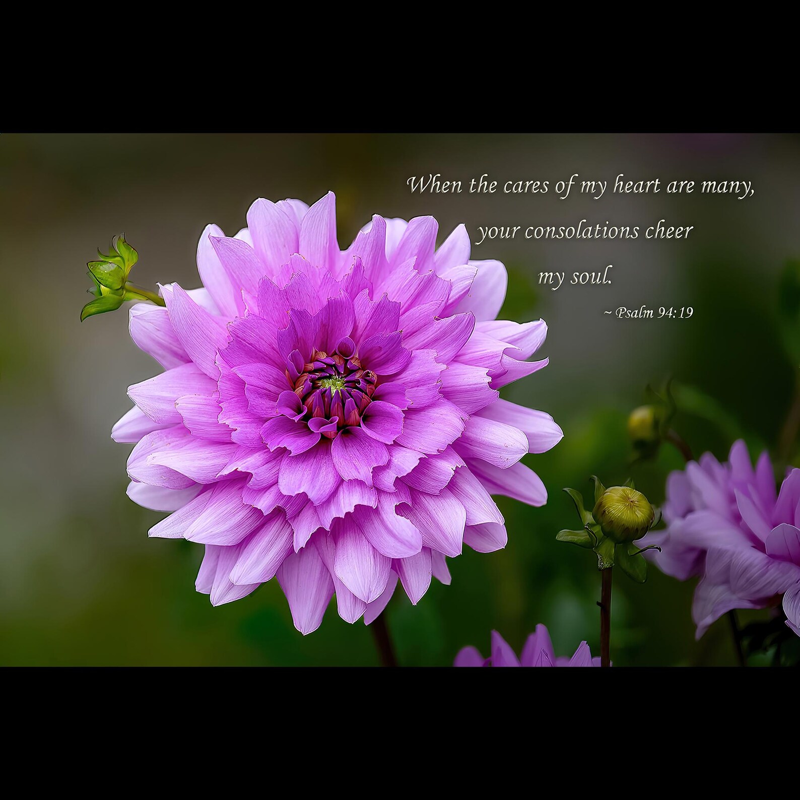 Psalm 94:19 Bible Verse With Purple Peony Photo, Photo Bible Quote Art ...