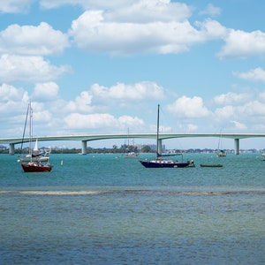 May include: A view of a bridge over a body of water with several sailboats docked. The sky is blue with white clouds.