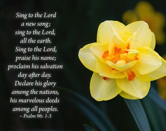 Psalm 96: 1-3 Bible Verse with Yellow Daffodil Flower