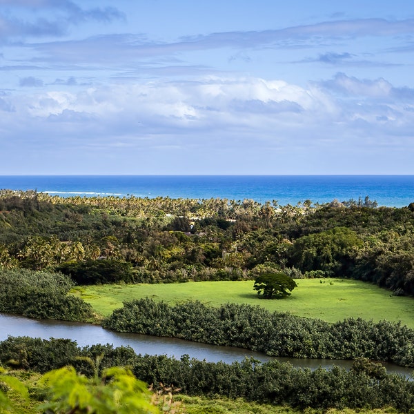 Panoramic image of Wailua River With Ocean Views Kauai, Hawaii