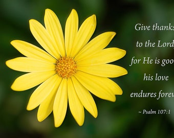 Psalm 107:1  Bible Verse with Yellow Aster Flower
