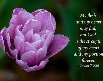 Psalm 73:26 Bible Verse with Purple Tulip