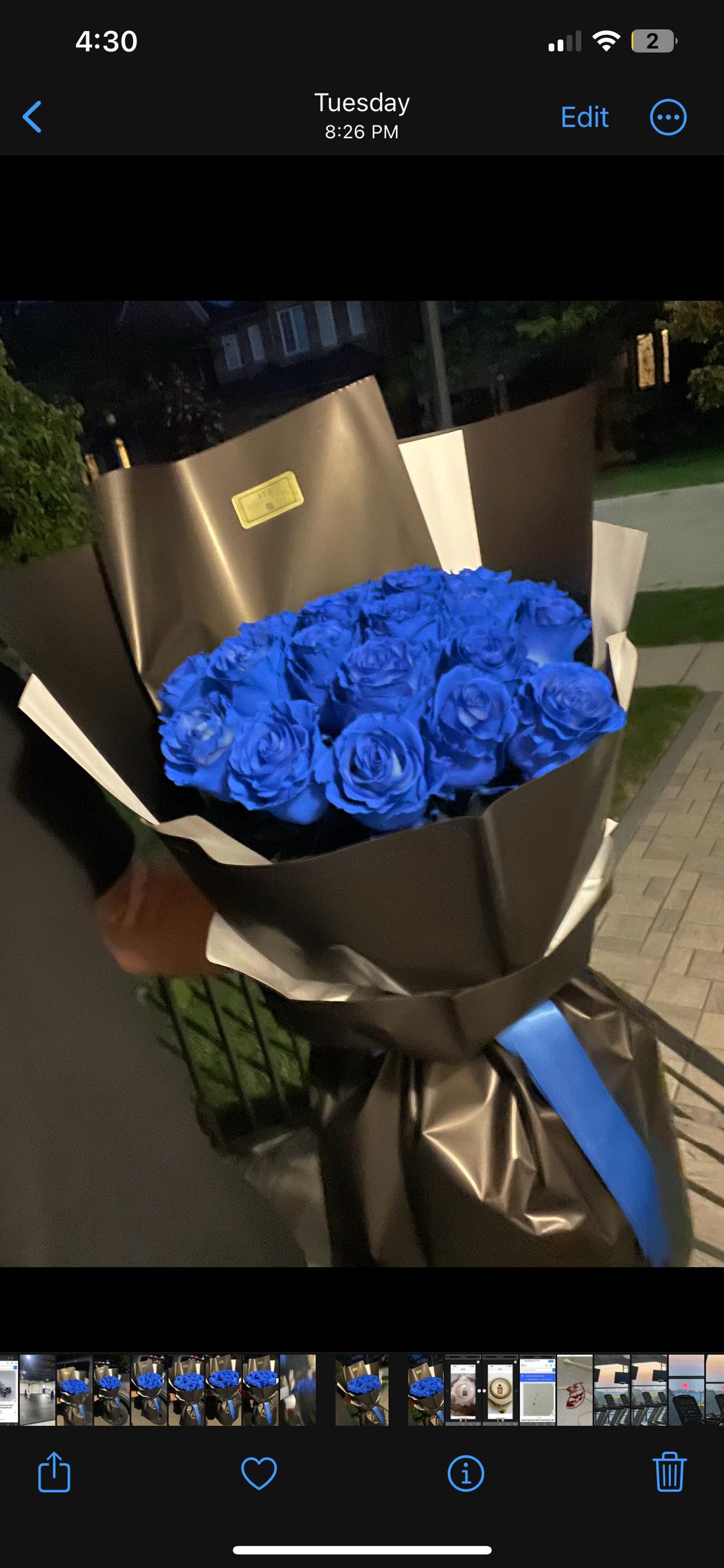 Blue Long Stem Roses 60-70 Cms - Etsy