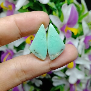 Può includere: Due cabochon di pietra preziosa verde triangolari con un colore verde chiaro e una texture leggermente ruvida.