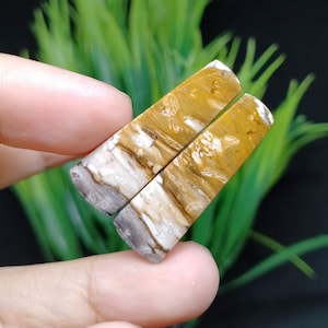 May include: Two rectangular pieces of petrified wood with a brown, white, and yellow color pattern.