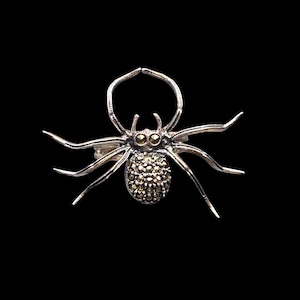 May include: A silver spider ring with a detailed design. The spider's body is covered in small, sparkling stones, and it has eight legs. The ring is set against a black background.