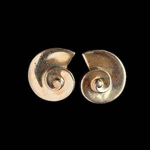 May include: A pair of gold-colored spiral-shaped earrings. Each earring has a rounded, nautilus-like design with a central swirl. The earrings are set against a black background, highlighting their metallic sheen.