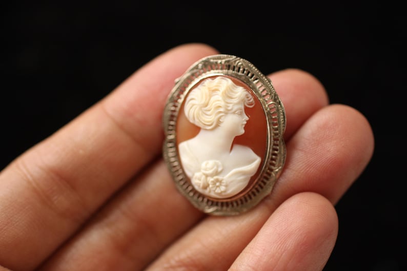May include: A cameo brooch featuring a woman's profile in white against a pink shell background. The cameo is set in a silver filigree frame.