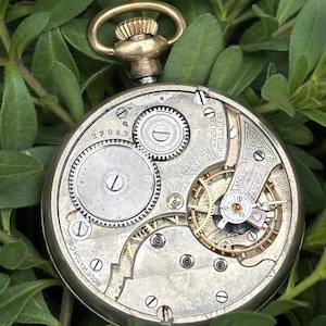 May include: Close-up of an antique pocket watch mechanism. The watch has a gold-colored winding stem and a silver-colored face with visible gears, jewels, and the text "15 Fifteen Jewels Adjusted". The watch is set against a backdrop of green foliage.
