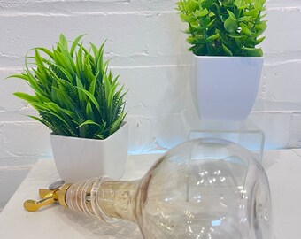 Olive Oil & Vinegar Spiral Neck Drizzler Cruet Bottle – Elegant