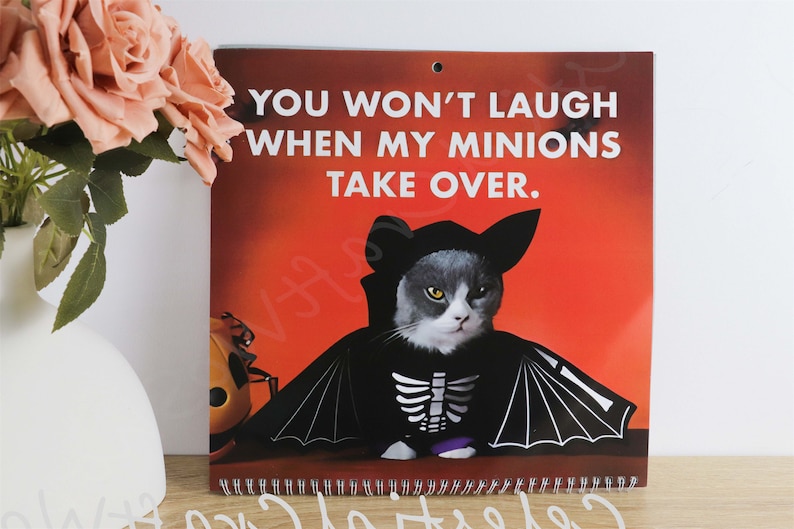 Pissedoff Cats Calendar 2024 Funny Cat Wall Calendar Etsy UK