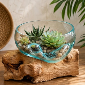 May include: A clear, light blue glass bowl with an irregular, melted-edge shape resting on a natural, light brown wooden base. Inside the bowl are several small green succulents and light-coloured pebbles arranged in a decorative display.