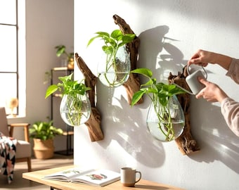 PRE ORDER***Driftwood Wall Planter with Hand Blown Glass Vase | Rustic Vertical Garden Decor |