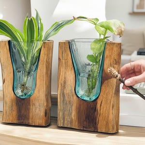 May include: Two wooden planters with clear glass vases holding green plants. The wood has a natural, light brown color. The glass vases have a light blue tint. A hand holds a small stick with a decorative top.