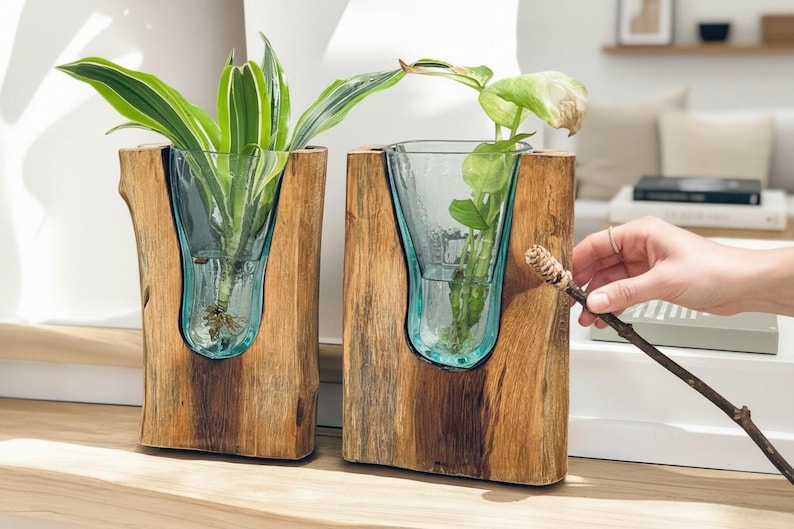 May include: Two wooden planters with clear glass vases holding green plants. The wood has a natural, light brown color. The glass vases have a light blue tint. A hand holds a small stick with a decorative top.