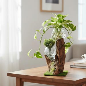 May include: A decorative wooden plant stand with three glass vases holding greenery. The stand is on a wooden table with a cup of coffee and books in the background. The plants have green and white leaves.