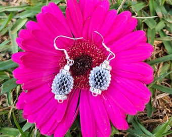 Hand made Earrings made from natural She Oak Cones with Stirling Silver hoops