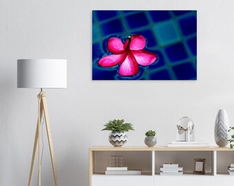 Pétalo de flor flotante - Paisaje de espuma