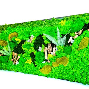 Moss Wall Art  | Preserved Moss Art Framed | Moss No Maintenance Required Moss &quot;Living&quot; Wall | Moss Picture Forest |
