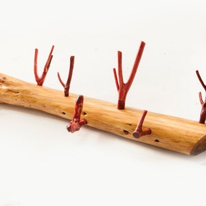 Driftwood Cypress Wall Rack Handmade Home Decor