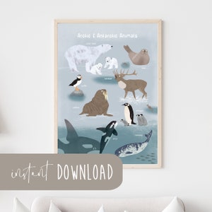 Poster Tiere der Arktis und Antarktis ENGLISCH Download Poster zum ausdrucken Sofortdownload digital Datei arktische Tiere