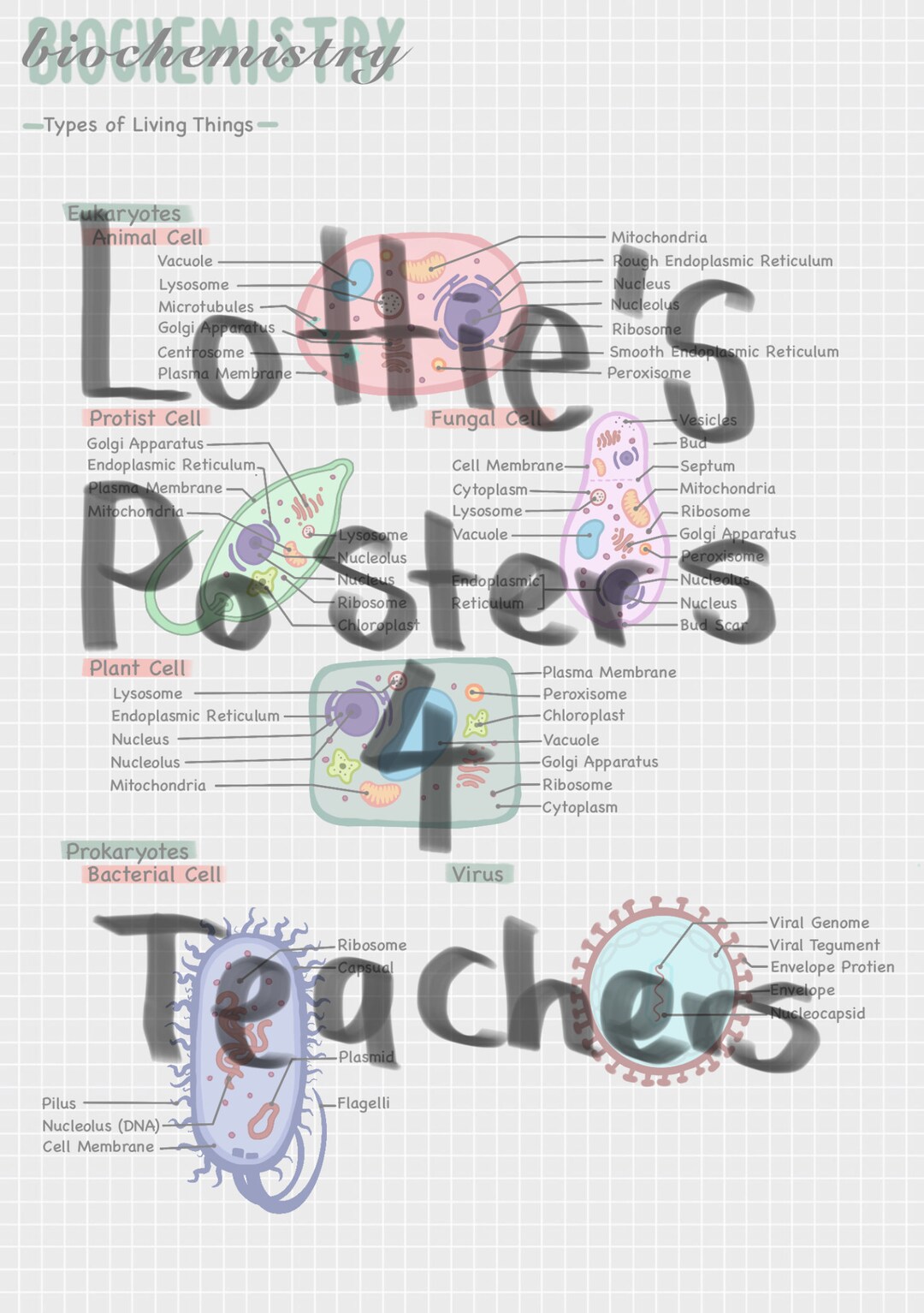 Biology Notes Types of Living Cells - Etsy Canada