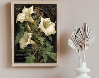 Dark Academia Datura – Vintage Occult Botanical Printable Wall Art – The Occult Herbarium – Digital Download