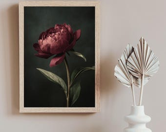 Peut inclure: Impression encadrée d'une pivoine rouge foncé sur fond vert foncé. La fleur présente de nombreux pétales et des feuilles vertes. Le cadre est en bois clair. Un vase blanc avec des feuilles décoratives séchées est à droite.